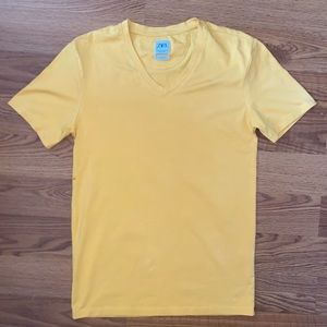 Zara Slim V-neck
